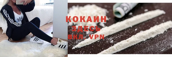 ПСИЛОЦИБИНОВЫЕ ГРИБЫ Белокуриха