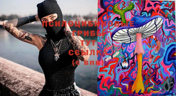 ПСИЛОЦИБИНОВЫЕ ГРИБЫ Белокуриха