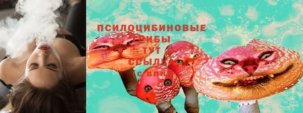 ПСИЛОЦИБИНОВЫЕ ГРИБЫ Белокуриха