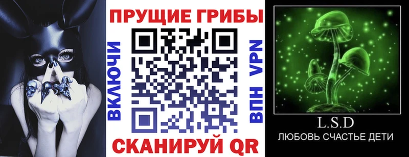 Галлюциногенные грибы Psilocybine cubensis сколько стоит Харабали